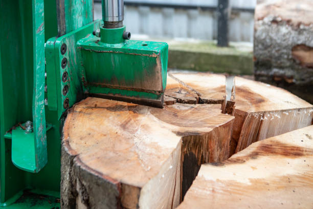 istock Hydraulic wood chopper splitting a big tree stump , close up 2177913385