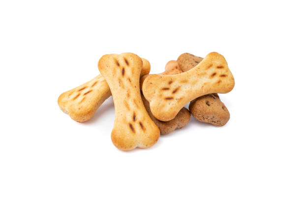 istock Bone shaped doggy treats pile isolated on white background 2177913540