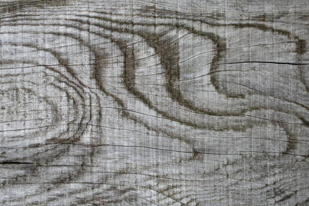 Weathered wood structure with curved veins, abstract textured backdrop