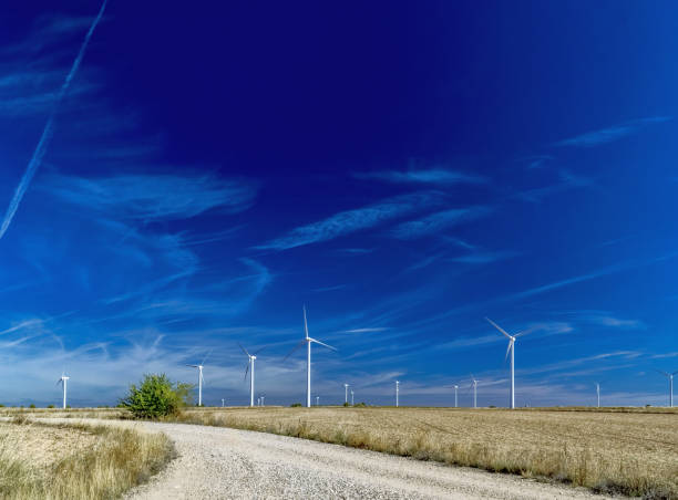 Wind turbines in an open field under a vibrant blue sky.