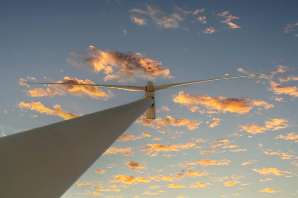 Wind turbine with golden clouds at sunset.