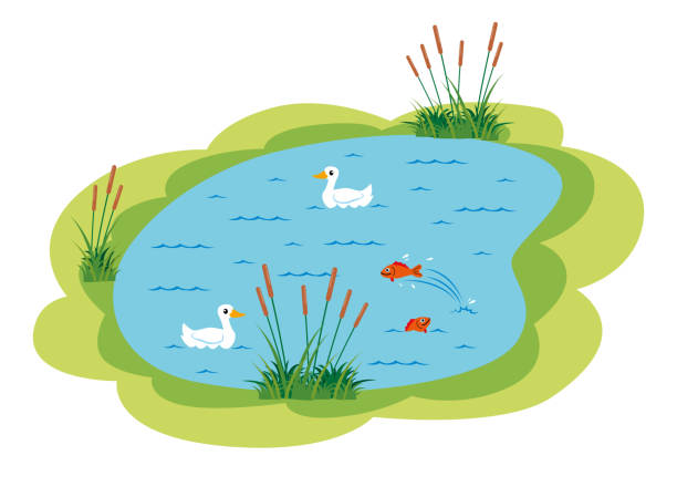 Vector Illustration of a Cute Little Happy Pond with Ducks and Fish