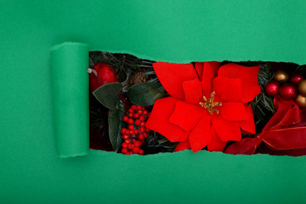 Torn green paper revealing Christmas decorations underneath. Christmas background.