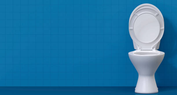 istock Modern blue toilet room interior 2177925044