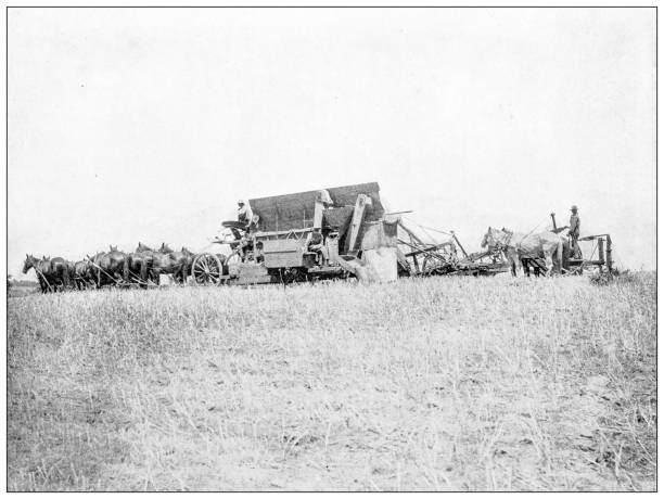 istock History and landmarks of USA: Agricultural machinery, Harvester, Header, Thresher 2177926810