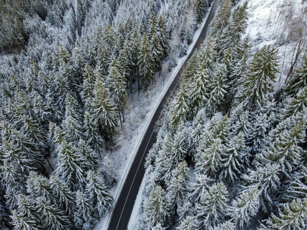 istock snow covered trees with a street from above 2177927563