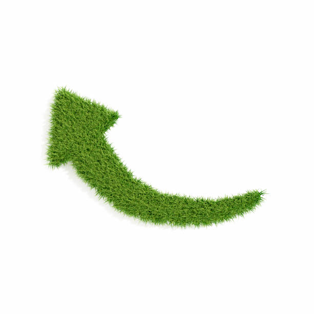 istock Arrow Symbol with Grass on White Background. Sustainability Concept. 2177929369