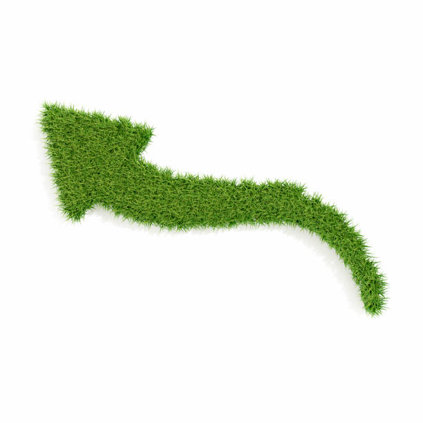 istock Arrow Symbol with Grass on White Background. Sustainability Concept. 2177929392