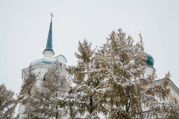 Snow-covered tree branches partially obscuring the view of a historical building with domes and spires on a cloudy winter day in Siberia