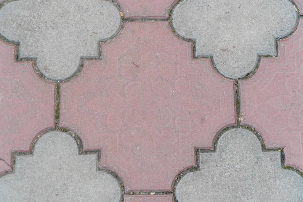 Intricate Geometric Pattern of Paved Walkway Tiles in Soft Earthy Tones.
