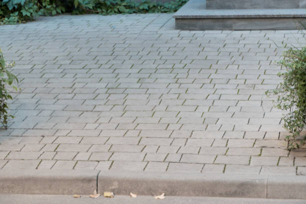 istock Calm cobblestone pavement adorned with green foliage and gentle lighting 2177934694