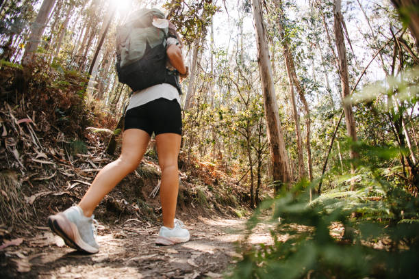 Low angle view of a backpacker walking in the woods