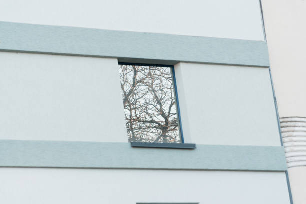 Reflection of Nature in Urban Architecture Through a Window