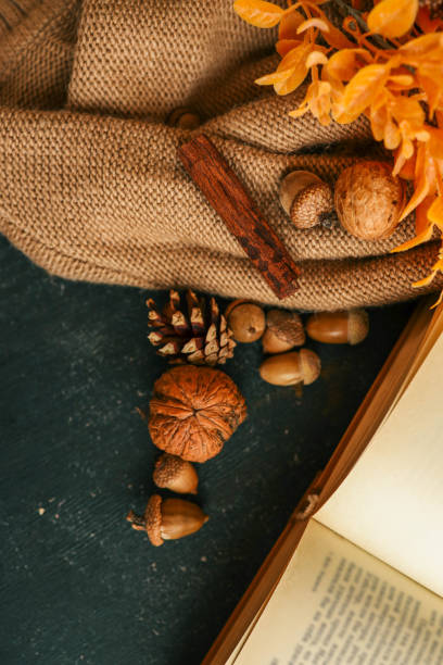 istock Cozy autumn photo, acorns, nuts, cinnamon 2177935501