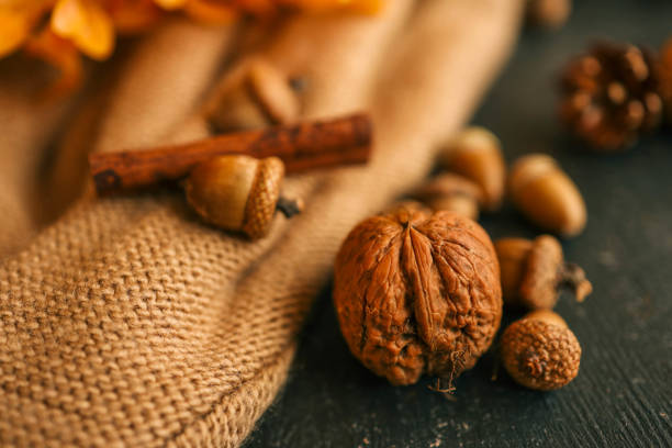 Cozy autumn photo, acorns, nuts, cinnamon.