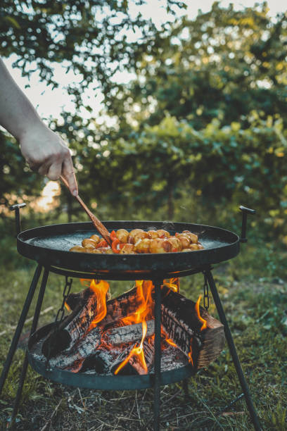 istock Potatoes with meat fried on fire, picnic in nature 2177951634