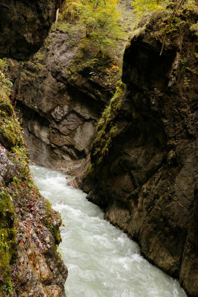 istock water in natur 2177952393