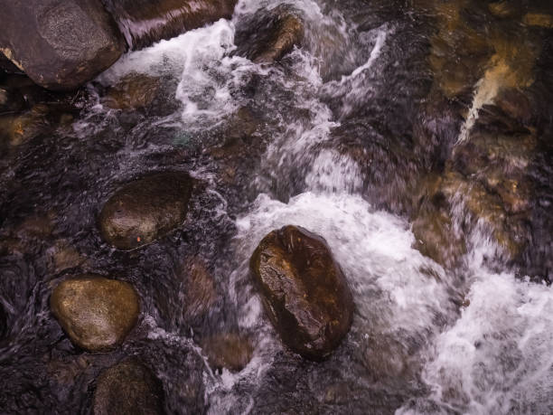 The stream flowing through the rocks in forest.