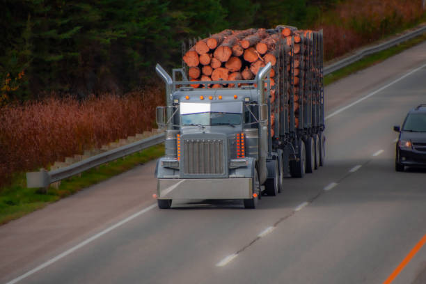 istock Heavy truck on a Canadian highway 2177955538