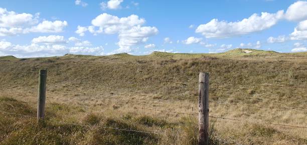 istock The dunes in north Holland 2177956331