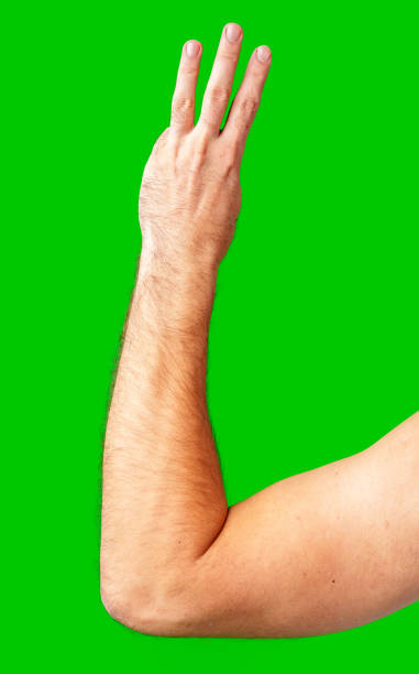 istock human arm gesturing with raised fingers against a bright green backdrop 2177956560