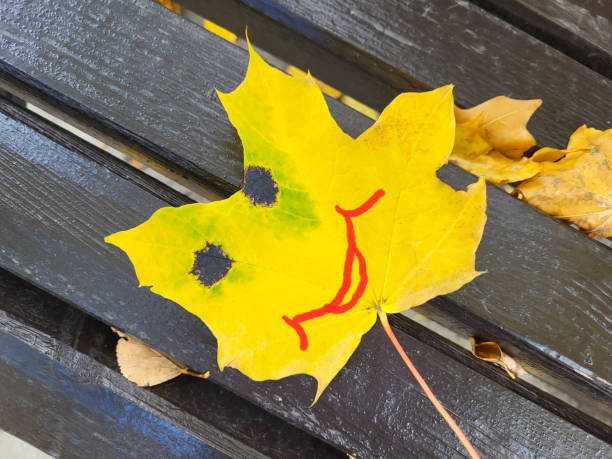 A maple yellow leaf with large black spots and a painted smile lies on the bench.