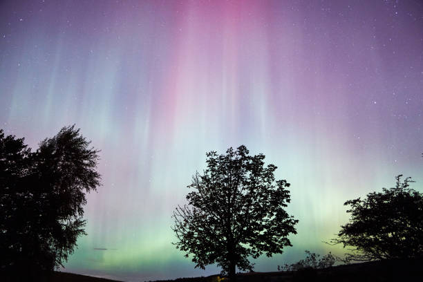 istock Aurora Borealis lighting up the night sky with trees 2177968183