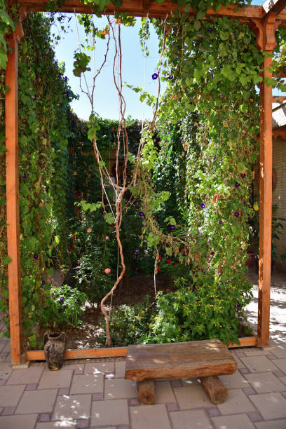 istock Courtyard. Bukhara, Uzbekistan 2177970705