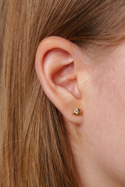 istock Close-up of a woman's ear adorned with a delicate gold stud earring in a indoor setting 2177972682