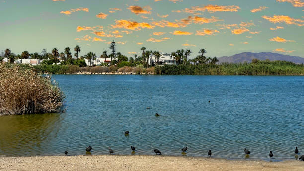 istock Beaches of Vera Almeria Spain 2177975388
