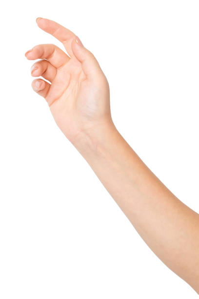 istock Hand on an empty background. Natural gesture, personal touch, human interaction. 2177979611