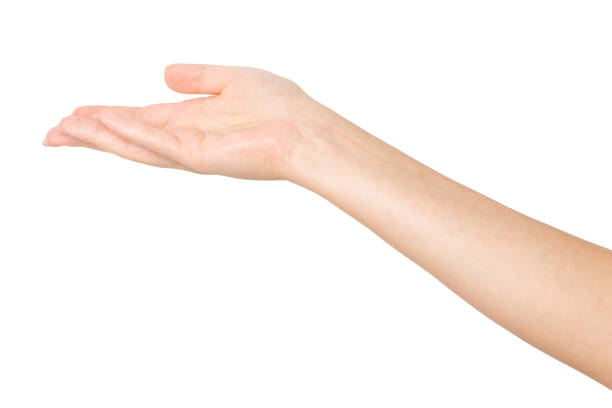 Hand with palm facing up on an empty background. Offering gesture, openness, invitation.