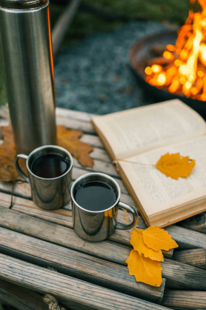 istock Book, thermos and fire, cozy autumn 2177985853