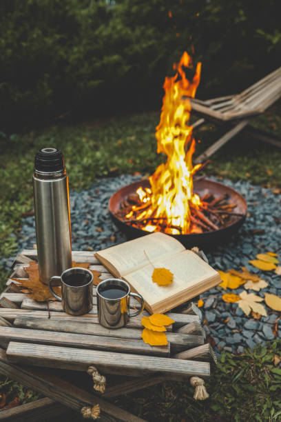 istock Book, thermos and fire, cozy autumn 2177985867