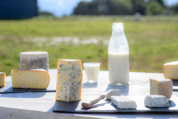 Different cheeses and a bottle of milk on a table