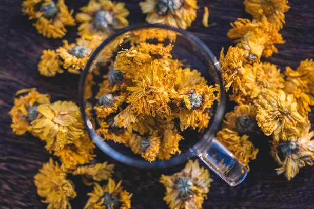 Dried Chrysanthemum Tea Macrophotography Rustic
