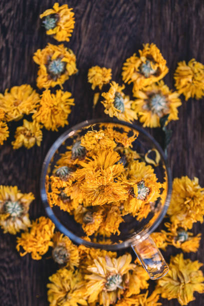 Dried Chrysanthemum Tea Macrophotography Rustic
