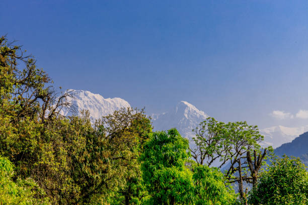 Machapuchare mountain summit in Himalayas near Pokhara, Nepal. Fish tail mountain with snow, ice and rocks beautiful peak in Annapurna range at Mardi Himal and Annapurna Base camp trek