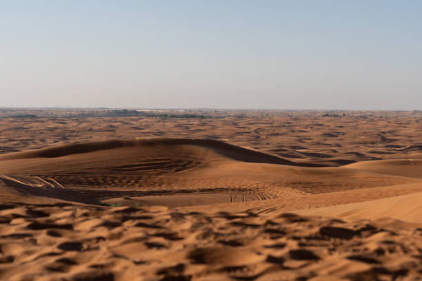 Desert landscape in the United Arab Emirates