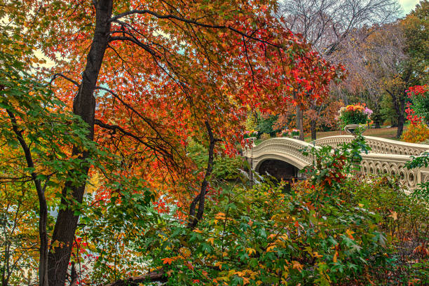 Bow bridge, Central Park, New York City, late autumn, morning