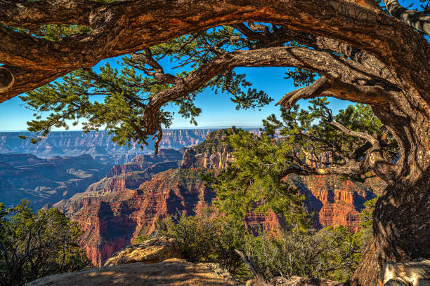 Grand Canyon National Park, located in northwestern Arizona, is the 15th site in the United States to have been named as a national park. The park's central feature is the Grand Canyon, a gorge of the Colorado River,