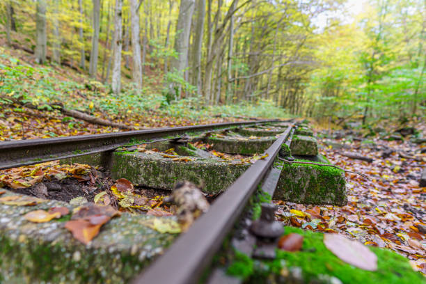 Abandoned railway track in deciduous forest at autumn with fallen leaves