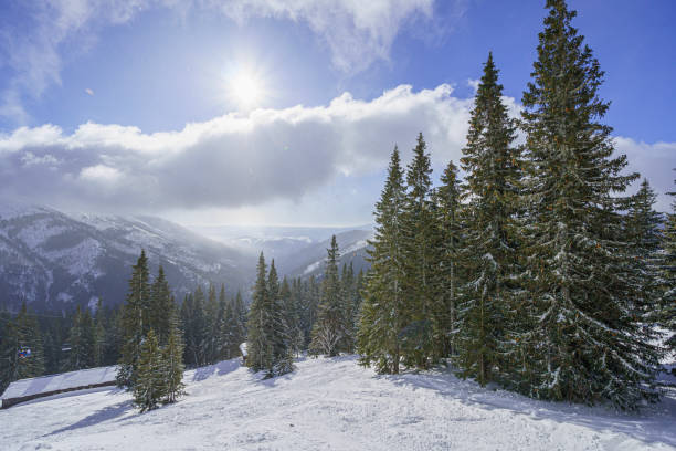 Skiing in Crested Butte Colorado