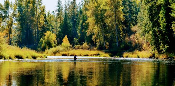 The Coeur D’Alene River in Autumn