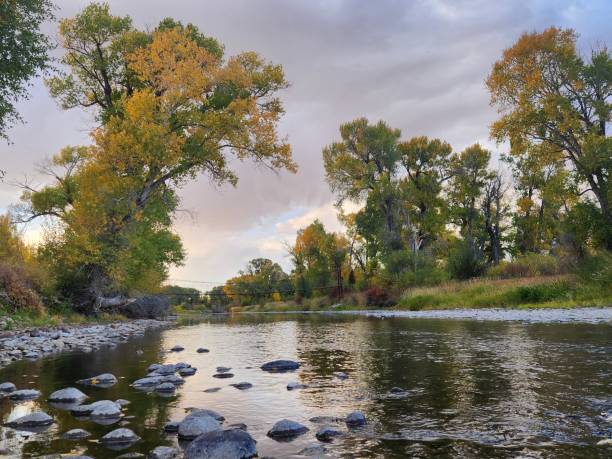 istock River and Forest Wyoming Landscape in Autumn 2178002554