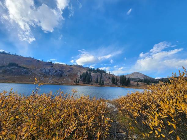 istock White Mountains with Lake and Autumn Leaves 2178002563