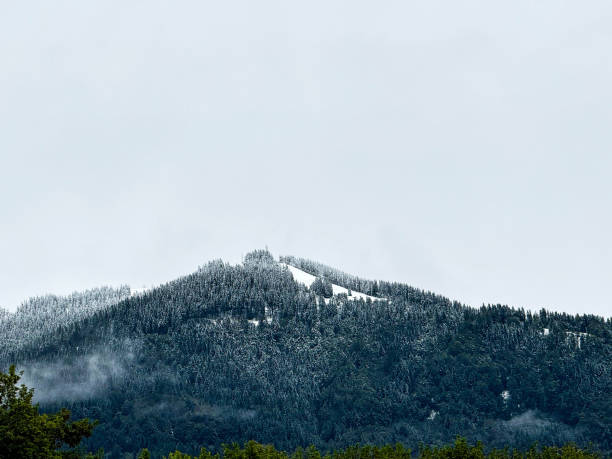 Snow-capped mountain peak in misty weather  natural winter wilderness landscape