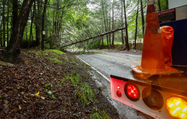 istock Tree fall blocks Poconos forest road. Emergency vehicle responds to storm damage in Pennsylvania woodland. 2178008117