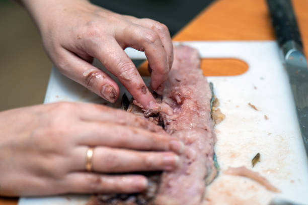 istock Delicate hands skillfully navigate through fish, meticulously removing bones to prepare a fresh fillet, highlighting the artistry and care in culinary preparation 2178008208