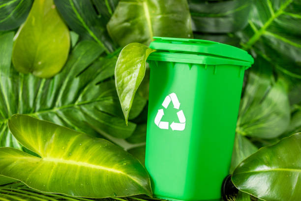 Green waste bin with recycling symbol standing among the natural lush greenery of the rainforest, Environmental concept, sustainable development, green deal, nature friendly, biodegradable products
